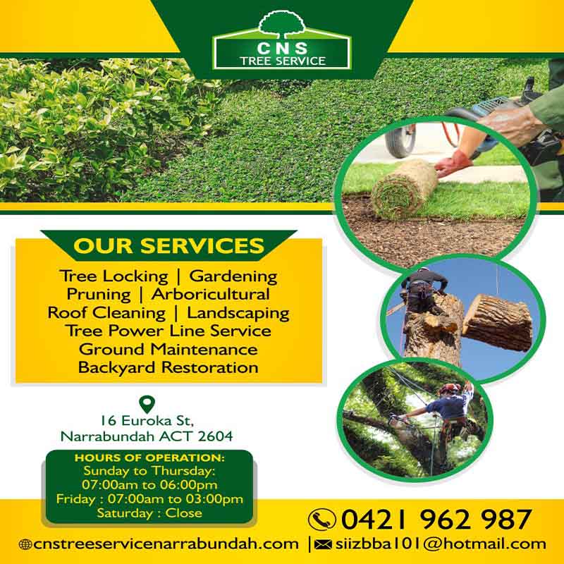 C N S Tree Service | Turf Laying in Narrabundah